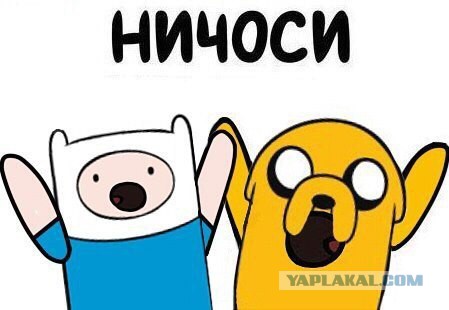 Ответ юзеров сети на появление нового мема Ничоси