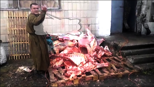 Вот так кормят укр армию.Мясо 1968 г.!