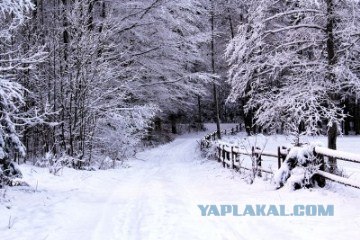 Ледяная зима