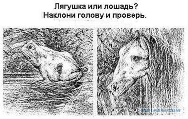 До и после выпивки