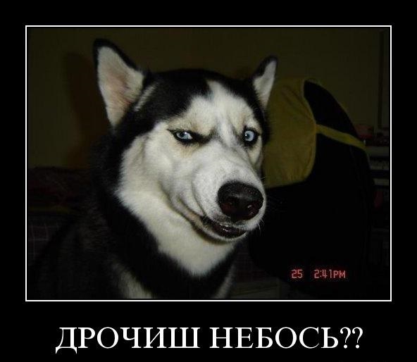 Украинский депутат и микрофон