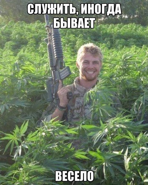 Приколы из сети