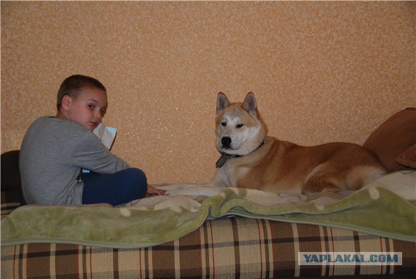 Собакочетверг же, ау!