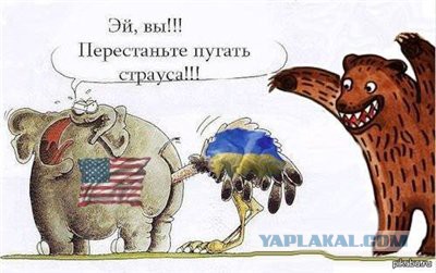 Обзор сми по Украине