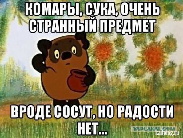 Фотоприколы