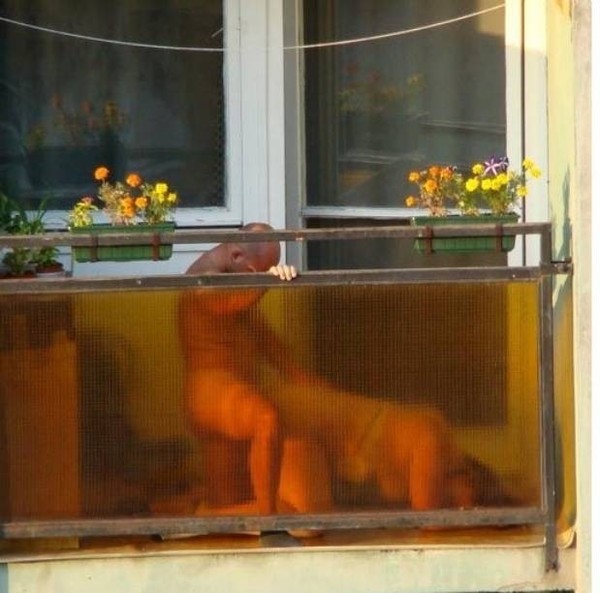 Панорама Лондона или рассмотреть лицо прохожего...