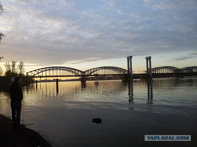 Пучок разных фотографий с телефона.