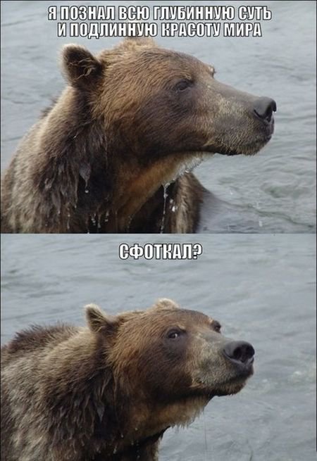 Картинки с надписями