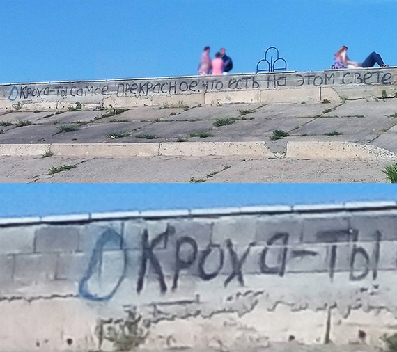 Ужасы и приколы из соцсетей 18+