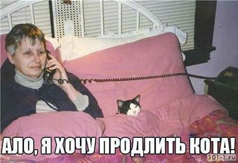 Немножко картинок