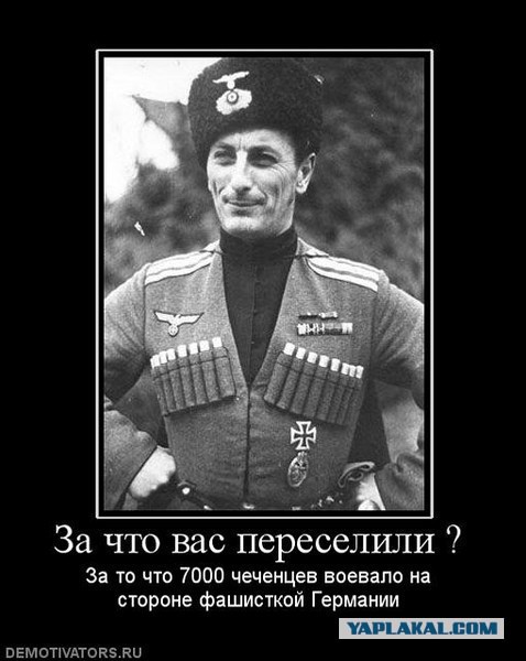 Когда кавказцам скучно и делать нечего