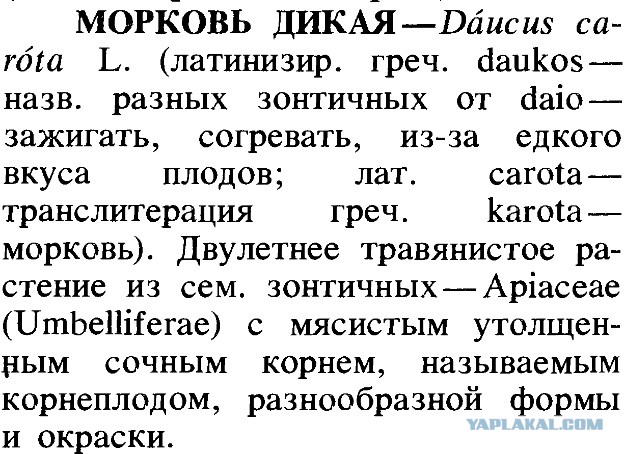 "Монсанто" открывает первый завод в России