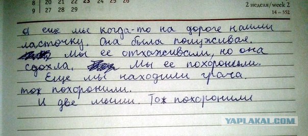 Жуткие, необъяснимые, мистические реальные истории от реальных людей.Часть 2