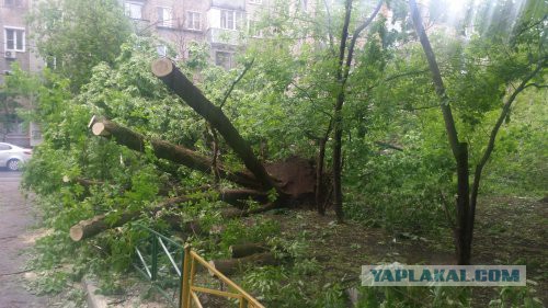 В Москве ураган!