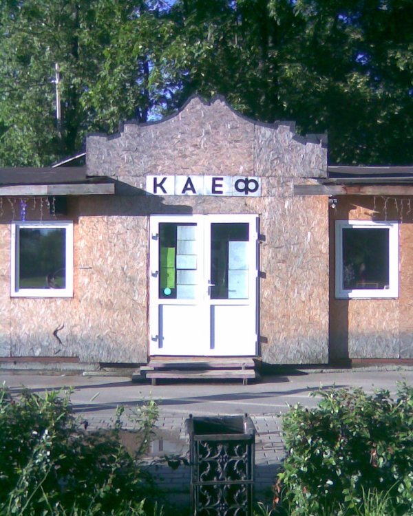 Трешак и вакханалия из соцсетей