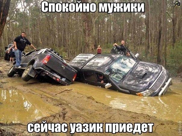 144 картинки для поднятия настроения!