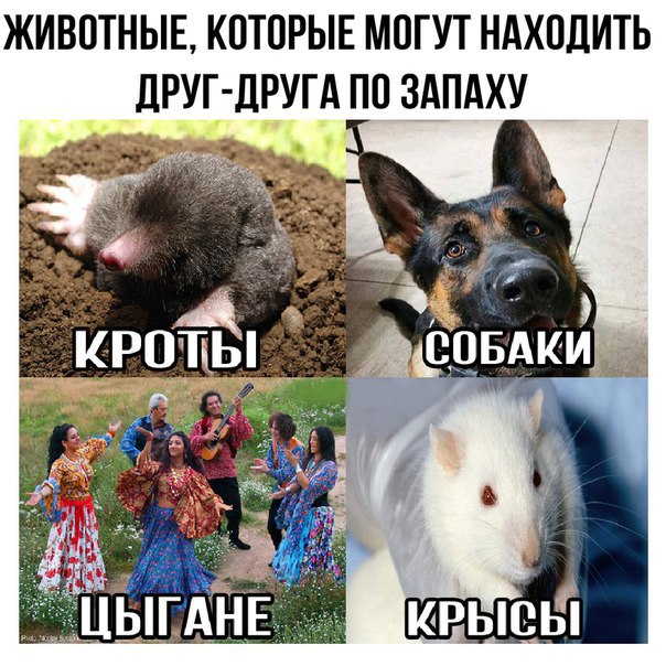 Адовая смесь чернушных картинок на вторник