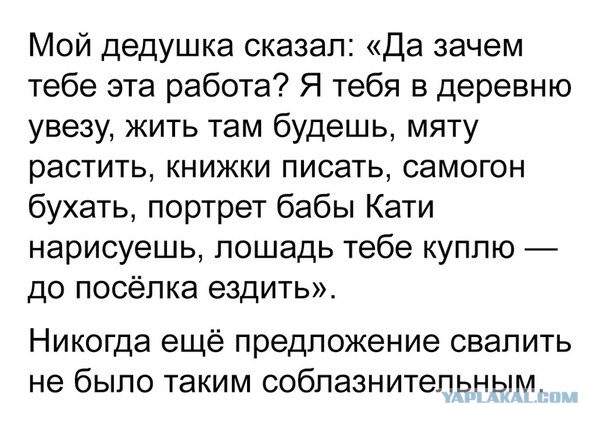 Смешные комментарии из социальных сетей 16.02.2018