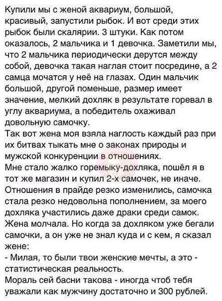 Прикольные комментарии и высказывания из Сети. 26.09. 2018.