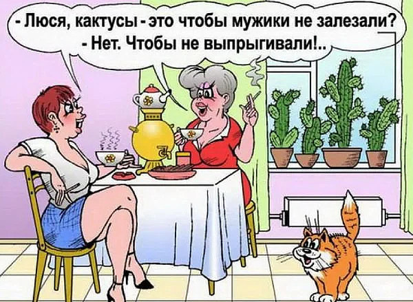 Немного картинок на вечер
