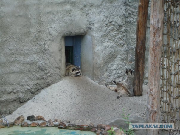 Московский зоопарк