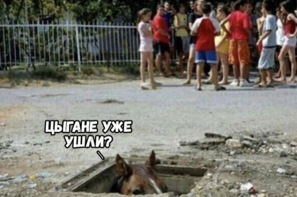 Картинки на воскресный день
