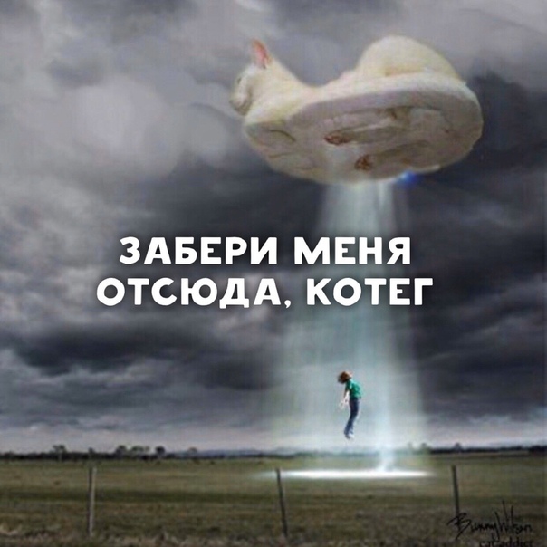 Чуток картинок 14.10.19