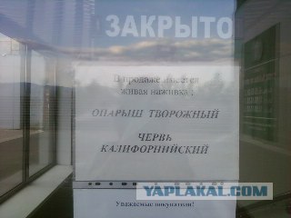 Реклама на дверях продуктового магазина
