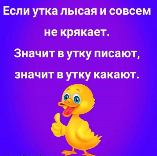 Тупые мемы