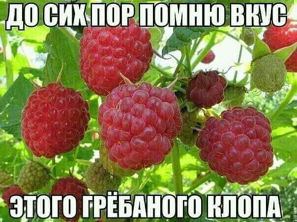Чуток картинок 29.05.20