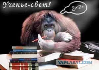 1 сентября караоке! Подпевай!