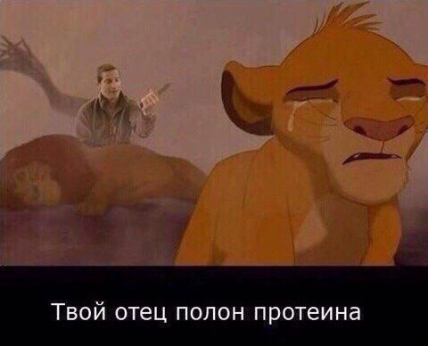 Весёлый полтишок 26.02
