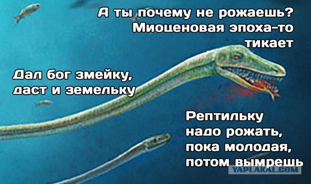 Cтарые фотки из интернета немного баянов