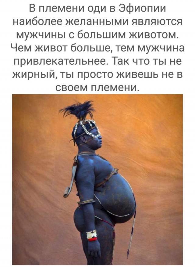 Насохранял
