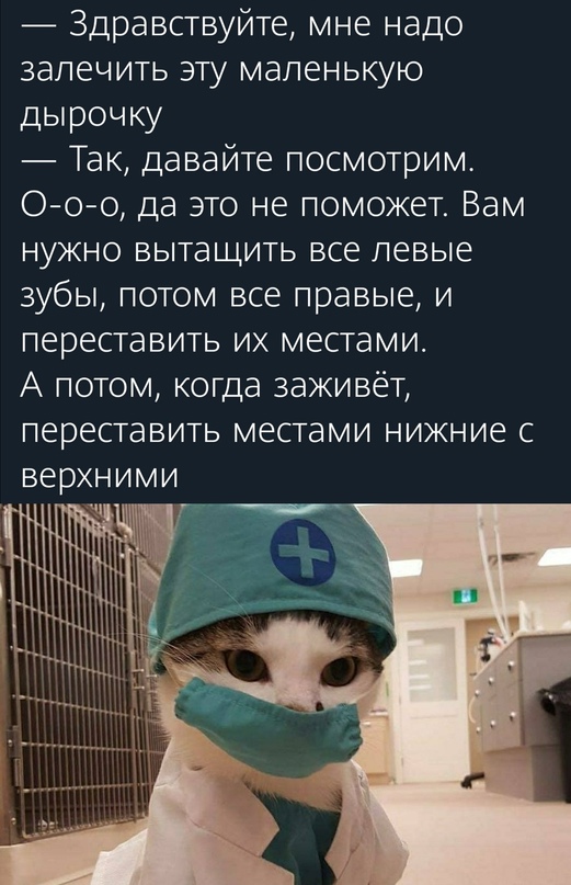 Весёлый полтишок 2.05