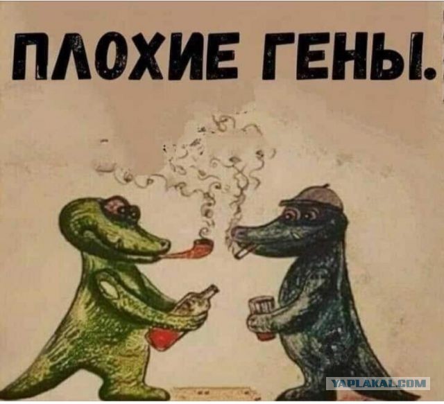 Юмор и прикольные картинки
