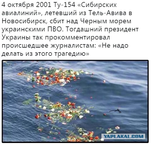 Отец погибшей при крушении «Боинга» МН17 девушки обратился к Владимиру Путину