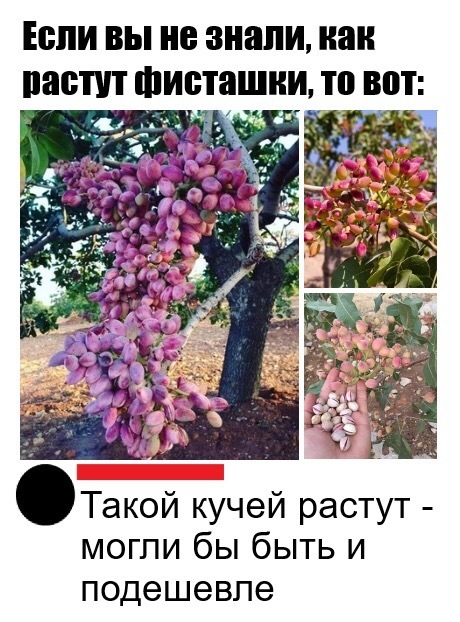 Картинки на*уй не нужны, картинки на*уй не важны