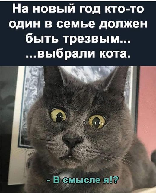 Картинки на выходные 25.12.21