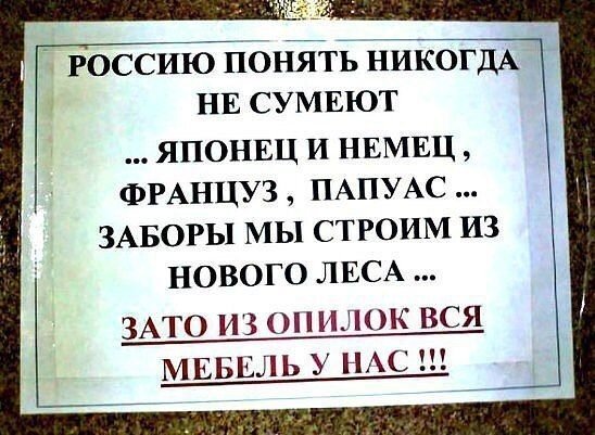 16646273.jpg