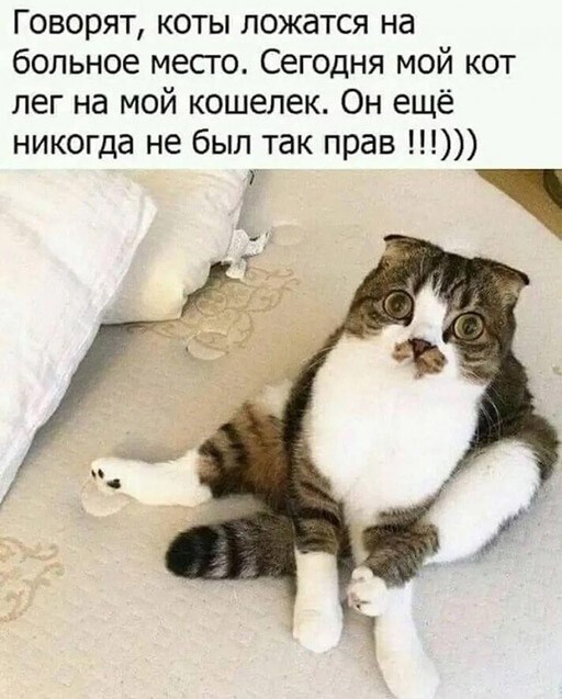 Баянисто-небаянистый юмор 12.04.22