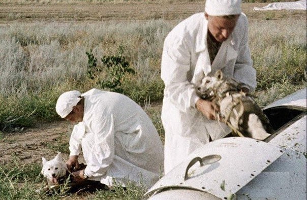 Немного истории в фото 29.04.22