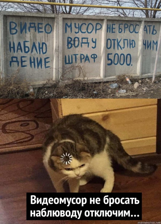 Так себе картинки 14.07.22
