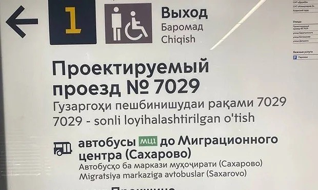 Депутат предложил «русифицировать» аэропорты России