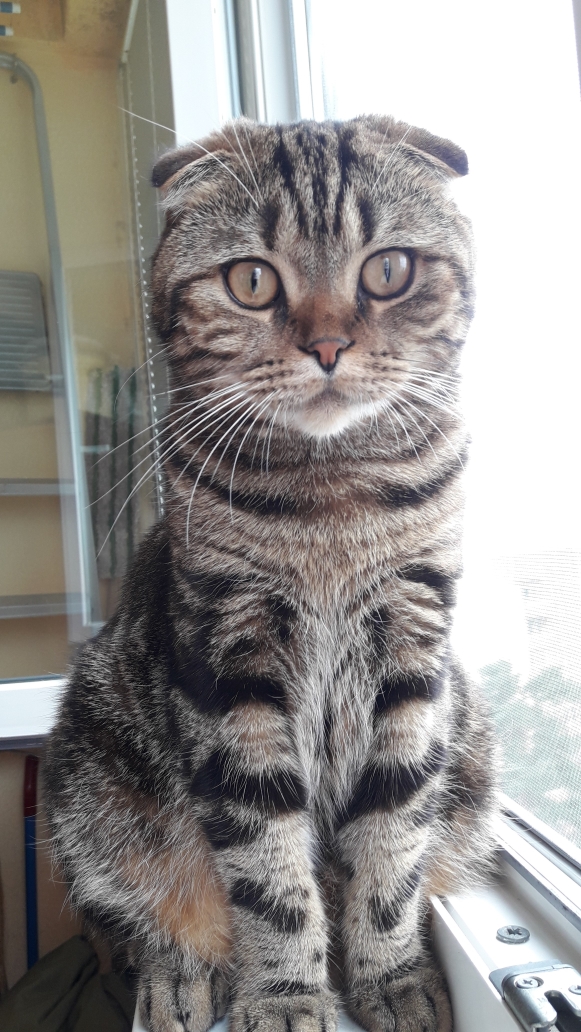 КотоФторник 23.08.22