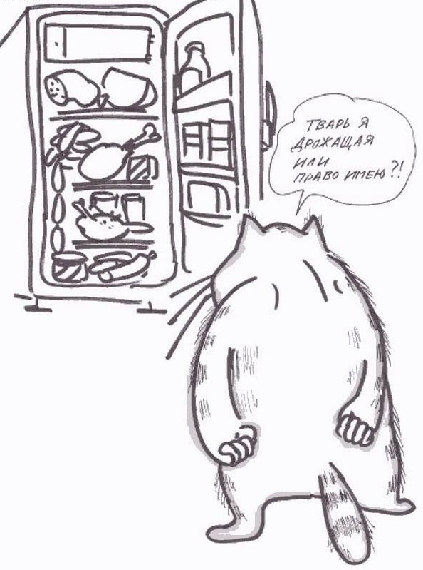 На котовторник