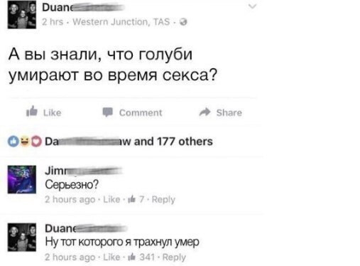 50 оттенков серого или самосвал баянов. Vol.22 50 фото