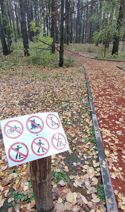Осень. Солнце. Новосиб
