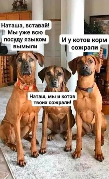 Так себе картинки 02.11.22