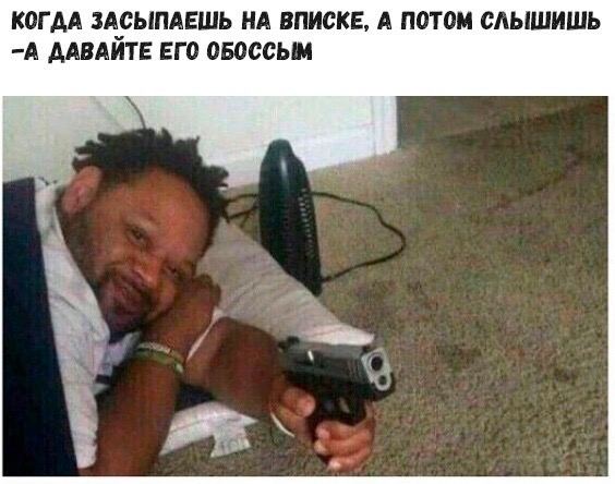 Весёлый полтишок 08.11.22